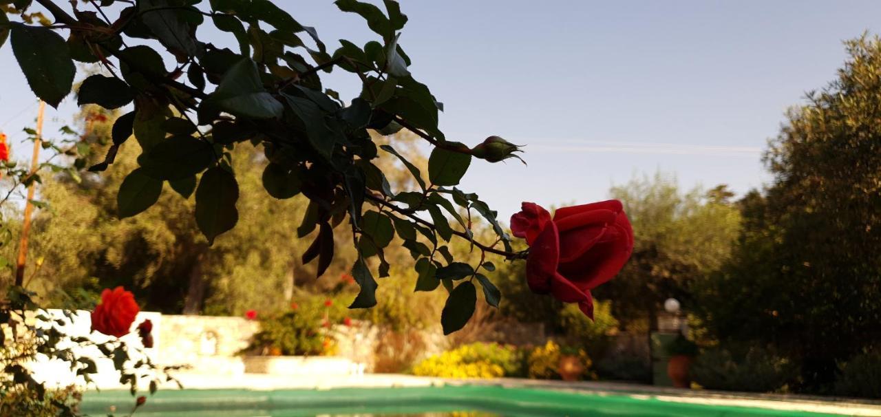 Lákka Livadi Studios With Pool מראה חיצוני תמונה